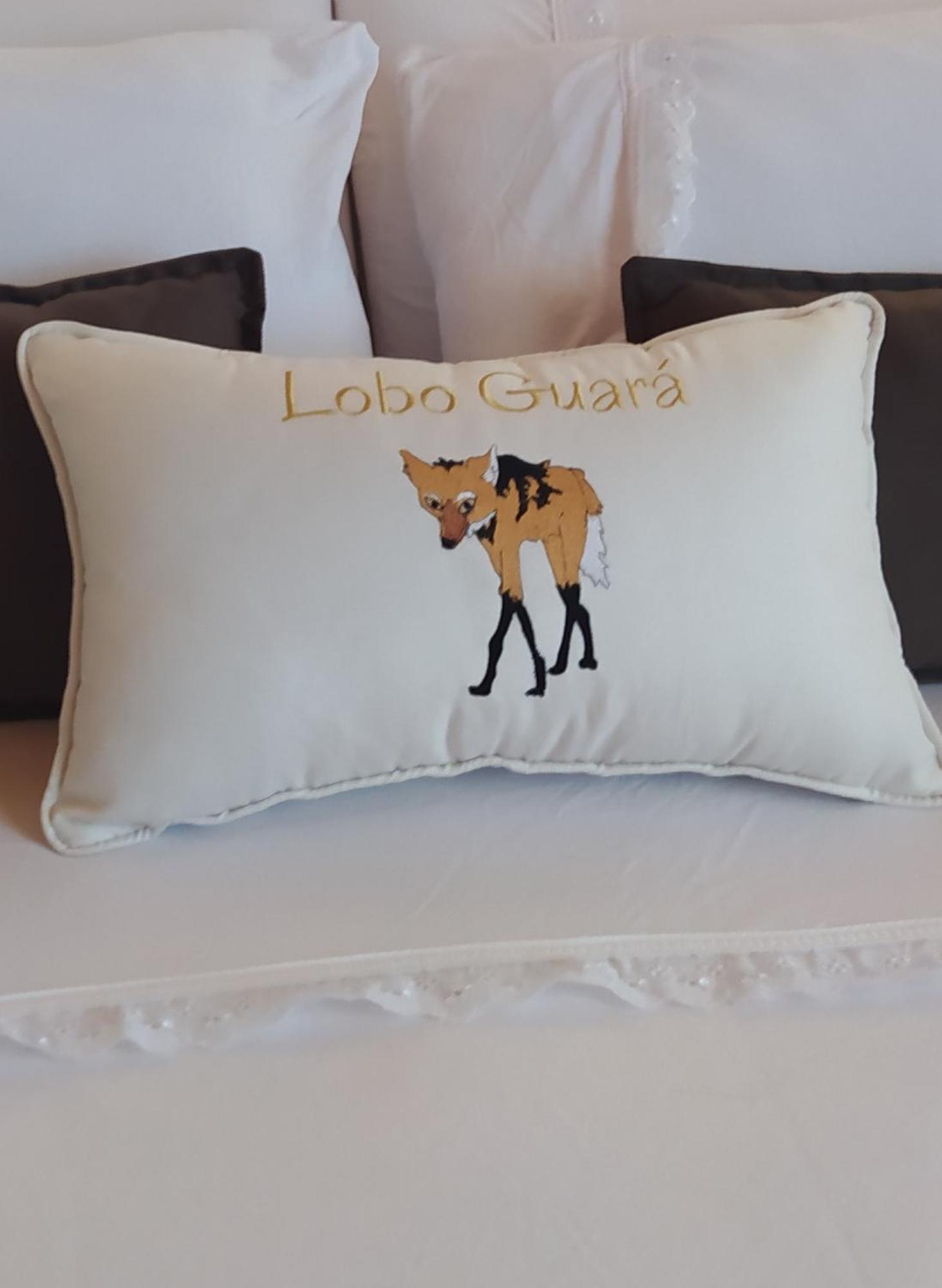 Lobo Guara Hospedagem Loft Alto Paraíso de Goiás Exteriér fotografie